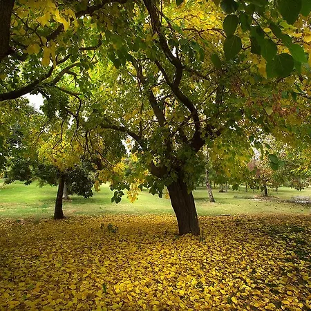 Farm stay Borgo Della Marmotta *